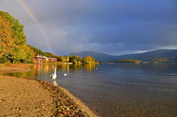 Loch Lomond National Park & Stirling Castle Full Day Tour - From Buchanan Street to Loch Lomond: Why This Day Trip Works