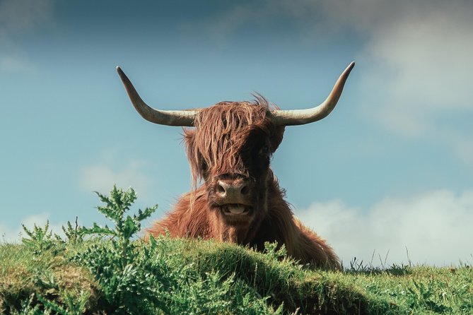 Loch Ness, Glen Coe & The Highlands Day Tour from Edinburgh - Guides Make or Break a Day Like This