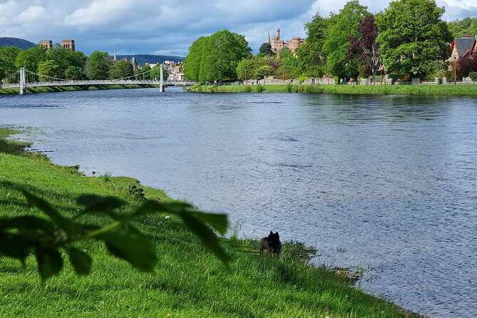 Lochness and Inverness day Tour - Robertson’s Farm Shop: hairy cows, alpacas, goats, and a quick gift run