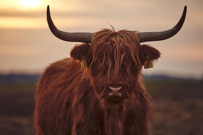 Luxury Private Tour of The Highlands & Loch Ness from Edinburgh - Glencoe and Fort William: Best Views Without Overplanning