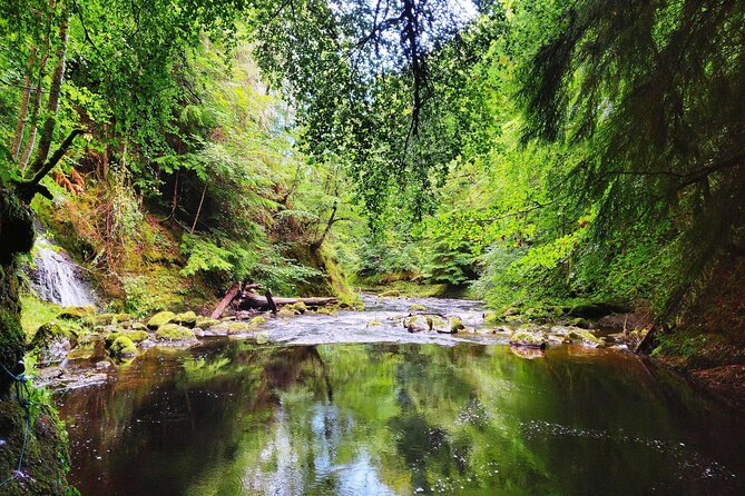 North Day Tour: Dunrobin Castle, Glenmorangie, Dornoch and More - Black Rock Gorge: the Harry Potter stop with a geology lesson