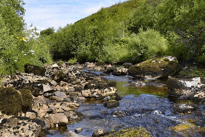 Oban and the West Highlands Day Trip from Glasgow - Guide storytelling is the secret sauce, not just background noise
