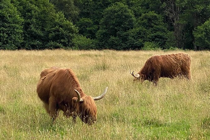Private Day trip to Loch Ness and Scottish Highlands via Glencoe - Key highlights before you go
