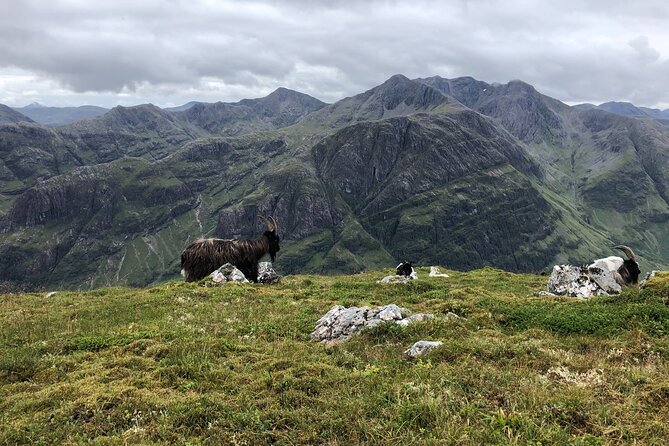 Private Guided Mountain Walking Experience in the Cairngorms - Route possibilities: glacial bowls, ridges, secret lakes, and caves