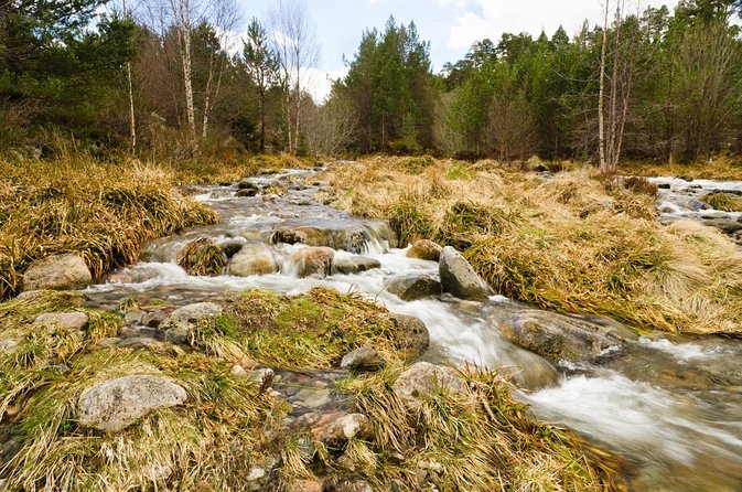 Private Guided Rock Climbing Experience in the Cairngorms - Key Highlights You’ll Feel During the Climb