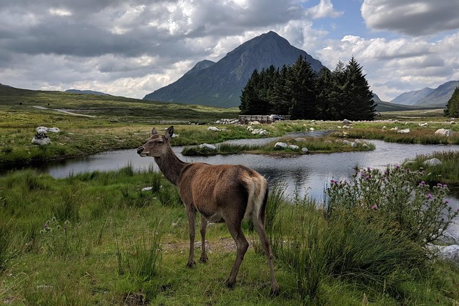 Private One Day Highlands Tour of Scotland - What’s included, what’s not, and how that affects your budget