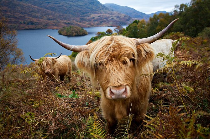 Private Tour of Loch Ness, Glencoe and Highlands from Edinburgh - Warm-up stop: Forth Road Bridge and Pitlochry’s quick reset
