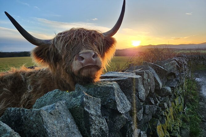 Private Tour of the Scottish Highlands from Edinburgh - Key reasons this private Highlands day works