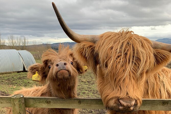 Private Tour of the Scottish Highlands from Edinburgh - A private Highlands day: who it’s for and what your group price really covers