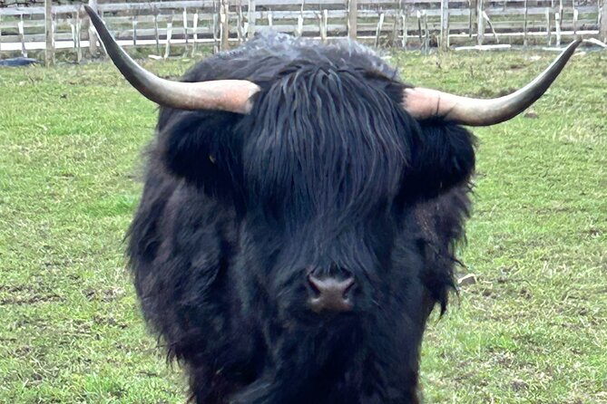 Private Tour of the Scottish Highlands from Edinburgh - Rest and Be Thankful: the quick viewpoint that adds drama fast