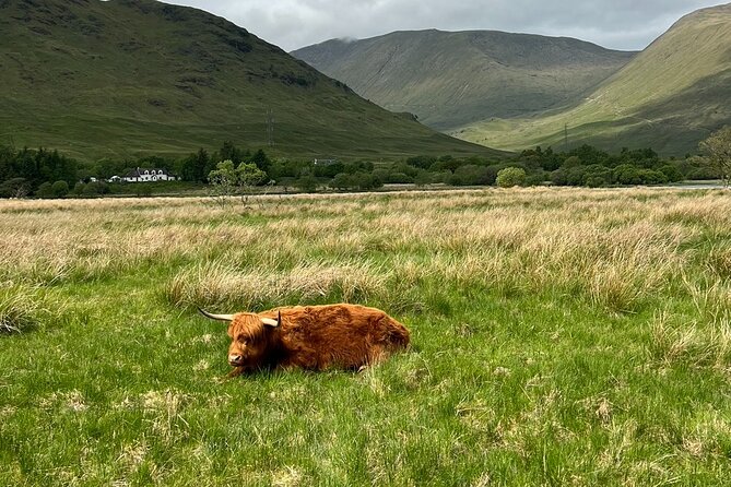 Private Tour to the Stunning Scottish Highlands & Glencoe - Stop 3: St Conan’s Kirk and Loch Awe Views