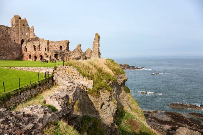 Puffin Boat Trip & Tantallon Castle Day Trip from Edinburgh - Scottish Seabird Centre boat ride, how to think about puffins