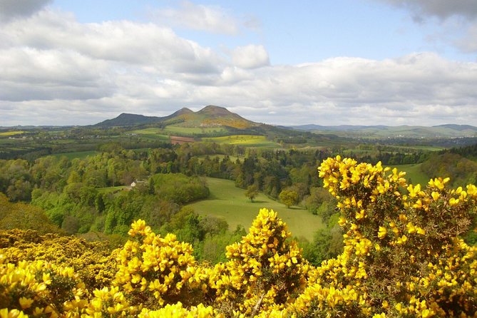 Rosslyn Chapel and Scottish Borders Small-Group Day Tour from Edinburgh - William Wallace Statue and Scott’s View: short stops with long payoff