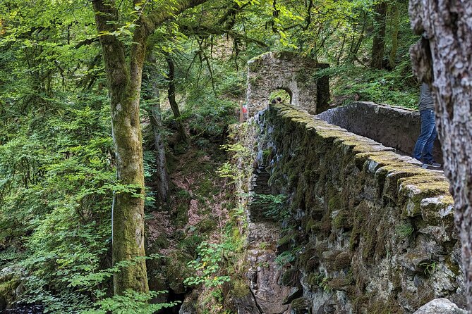 Scone Palace, Nature, Pitlochry, Whisky Experience from Glasgow - A private 9-hour Scotland loop from Glasgow, with real flexibility