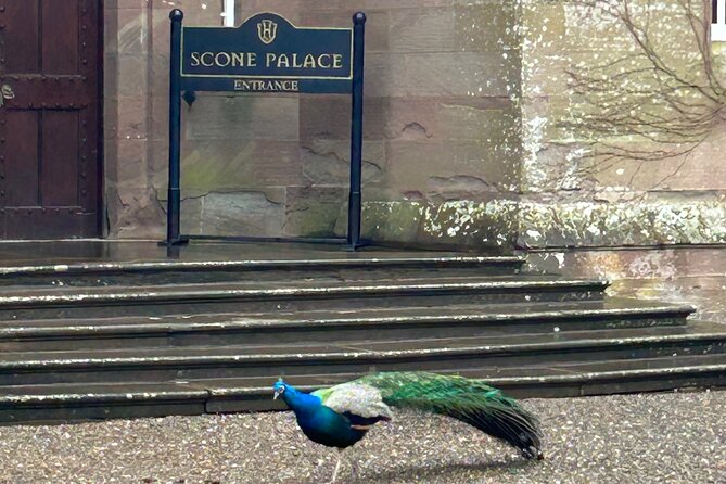 Scone Palace, Nature, Pitlochry, Whisky Experience from Glasgow - Stirling Castle area and the Wallace Monument: how the day opens and closes