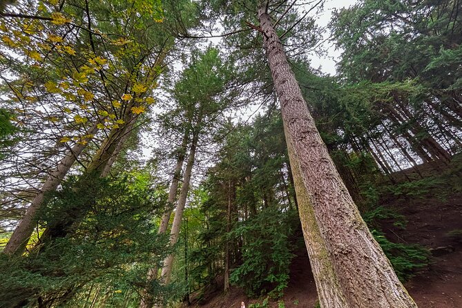 Scone Palace, Nature, Pitlochry, Whisky Experience from Glasgow - Pitlochry and a Taste Perthshire break: Victorian charm plus a hands-on feeding moment