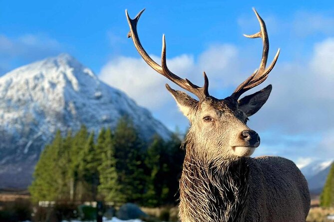 Scottish Highlands, Loch Ness and Glencoe Day Trip from Edinburgh - Logistics Reality Check: Stop Lengths, Crowds, and What to Pack