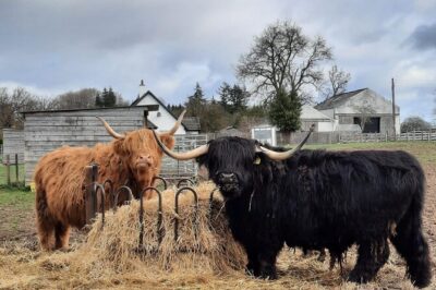 Scottish Whisky Distillery & Fairytale Dunrobin Castle