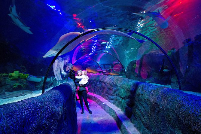 SEA LIFE Loch Lomond General Admission Ticket - Getting your money’s worth with general admission (not a long guided tour)