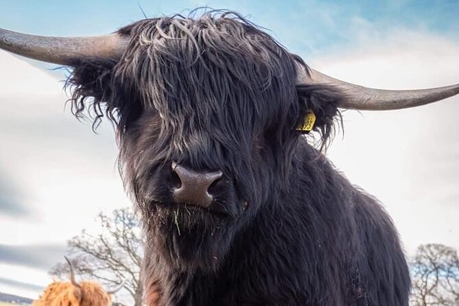 Secret Loch Ness, Inverness Castle visit, Culloden, Clava Cairns - Culloden Battlefield: the best first stop for Outlander fans and history lovers