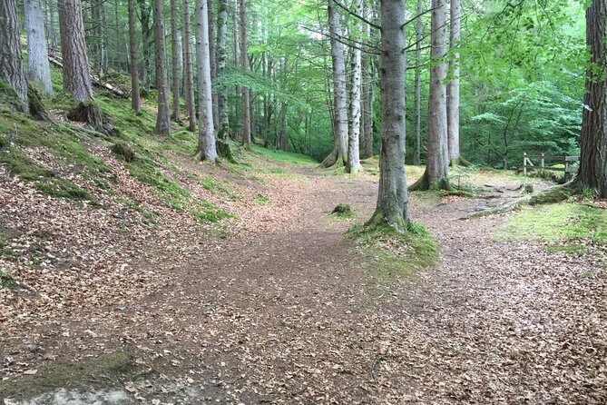Secret Loch Ness with Cawdor Castle and Clava Cairns - Starting in Invergordon: what the day is really like from 8:30 am