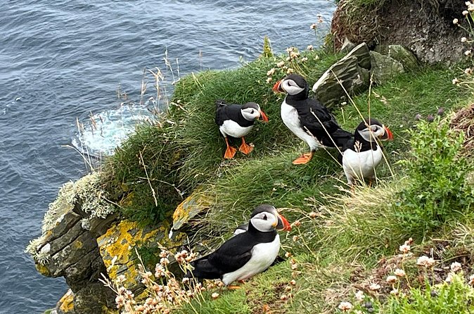 Shetland South Mainland Tour St Ninian Isle and Jarlshof - Getting the timing right: pickup hours, ticket format, and meals