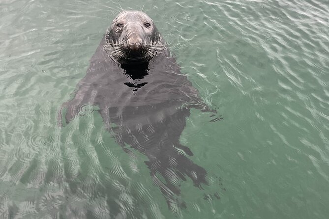 Shetland South Mainland Tour St Ninian Isle and Jarlshof - Who should book this south Mainland tour (and who might skip it)