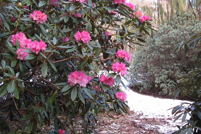 Skip-the-Line: Botanic Garden Entry Ticket - Quiet corners, views, and the “oasis of calm” effect
