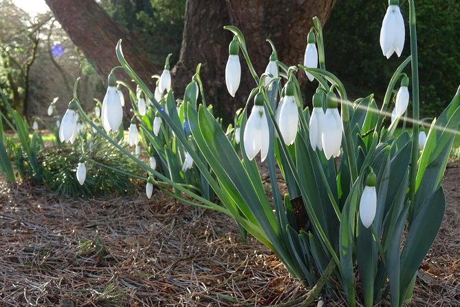 Skip-the-Line: Botanic Garden Entry Ticket - Kid-friendly exploring: play areas, scents, and the fairy door trail