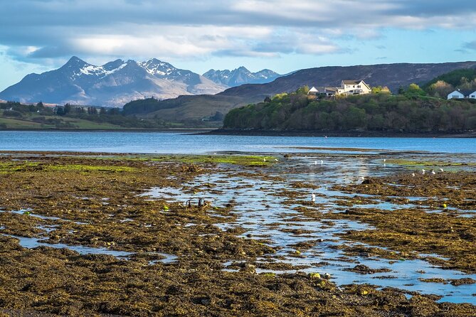Skye Day Tour from Inverness with Fairy Pools & Dunvegan Castle - Rogie Falls: the quick waterfall stop that sets the tone