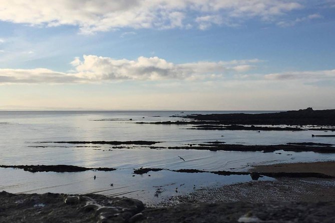 St Andrews, Falkland and Fife Villages Tour from Edinburgh - St Andrews Castle and the Town of St Andrews: How to Use Your Free Time Well