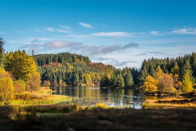 Stirling Castle, Kelpies and Loch Lomond from Edinburgh - Stirling Castle: the main event, with two ways to spend your time