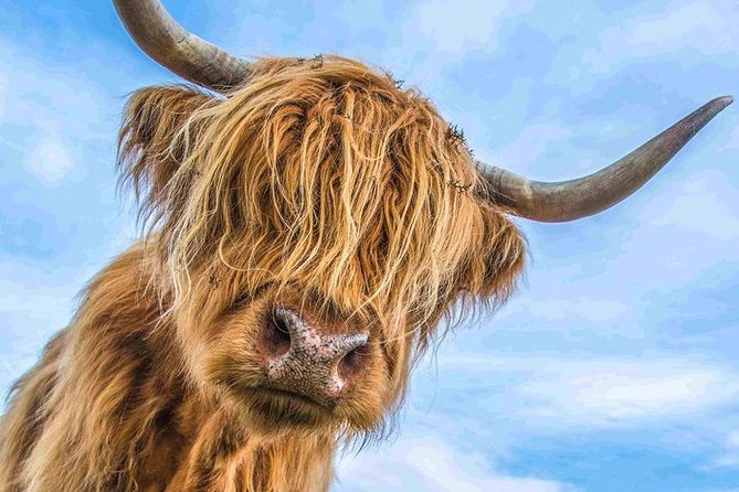 Stirling Castle Loch Lomond and Trossachs National Park day tour - A Private Highlands Day That Starts in Central Edinburgh