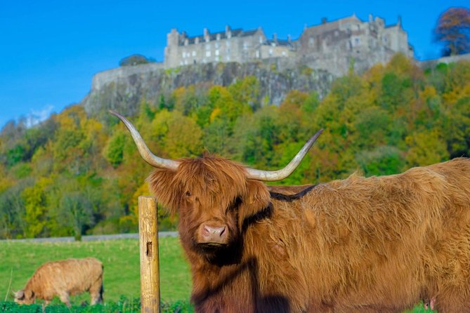 Stirling Castle,Trossachs National and Loch Lomond Day Tour from Edinburgh - Stop 1: The Kelpies and The Helix, a quick hit of modern Scotland