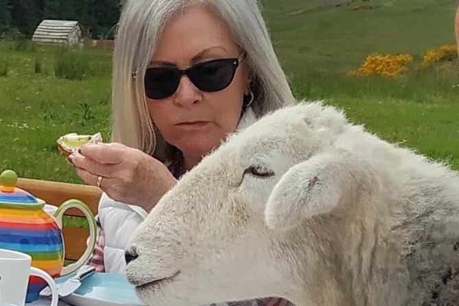 Tea with Naughty Sheep - What happens in your 1 hour 45 minutes