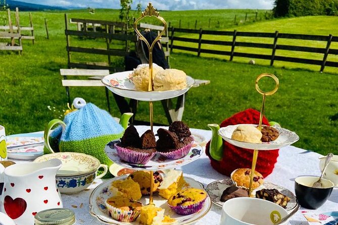 Tea with Naughty Sheep - Herdwick sheep, feeding etiquette, and keeping coats nibble-proof