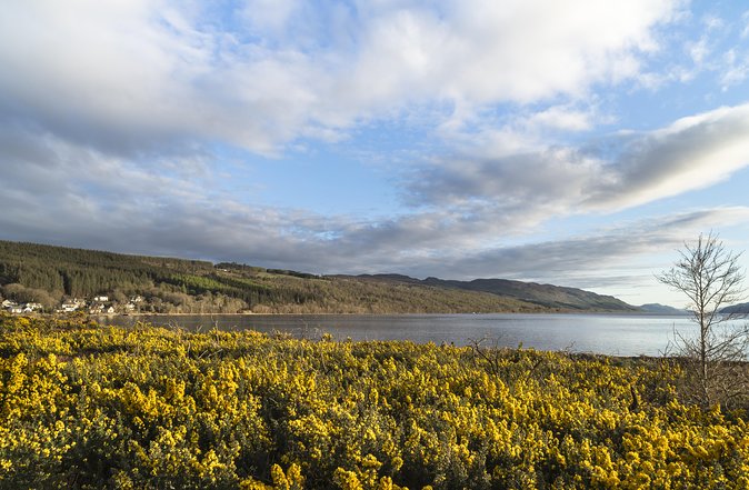 The Complete Loch Ness Experience Small-Group Day Tour from Inverness - Invermoriston Falls walk: pretty rivers and a bit of history underfoot